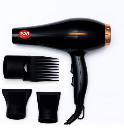 Hair Dryer 5000 Series, AC Motor Light Weight, by NM Beauty